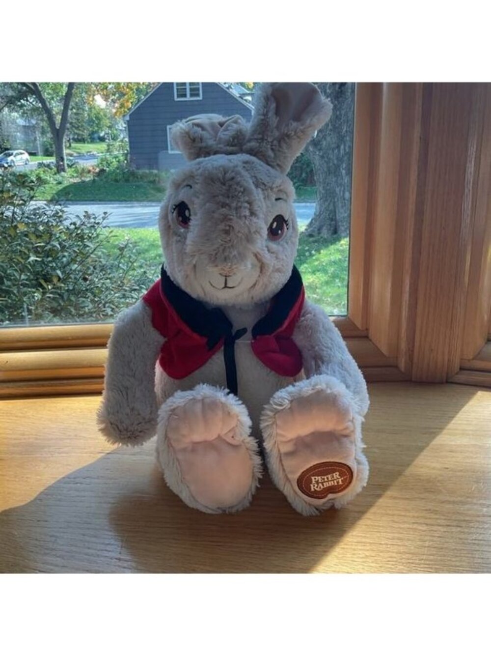 Peter Rabbit Movie Flopsy Bunny Plush Dan Dee Red Coat Cottagecore Stuffed Toy